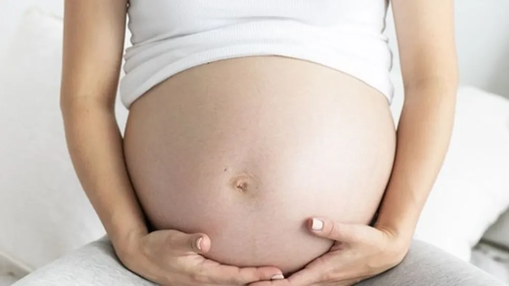 Qué es el Plan de los 1000 días que se enviará junto al proyecto de aborto