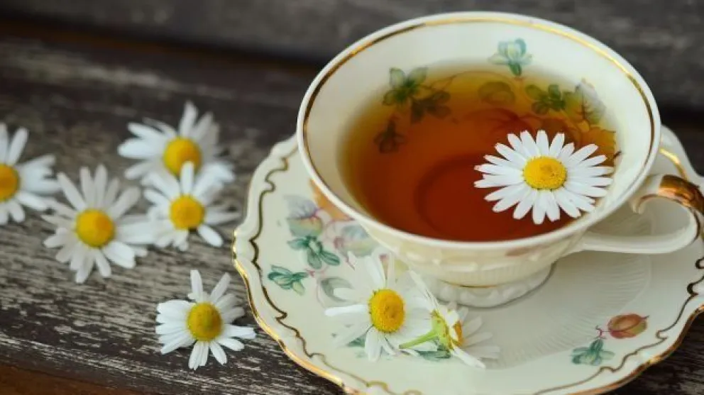 Infusiones y alimentos que activan la flora intestinal