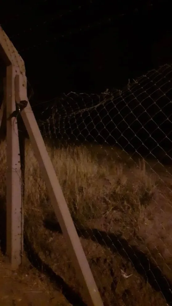 Repudio por nuevos destrozos en el Polideportivo Municipal