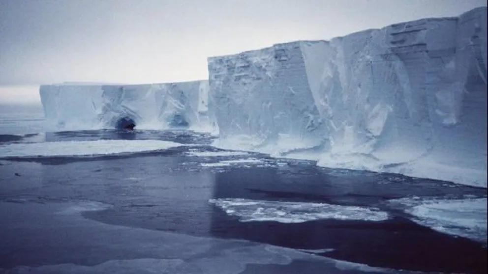 El iceberg más grande del mundo está cerca de chocar con las islas Georgias del Sur