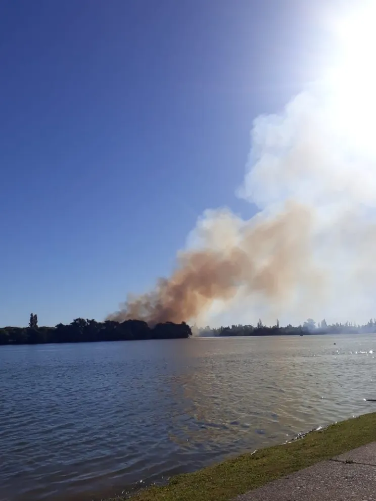 Incendio de pastos en el primer islote inmediato al puente nuevo