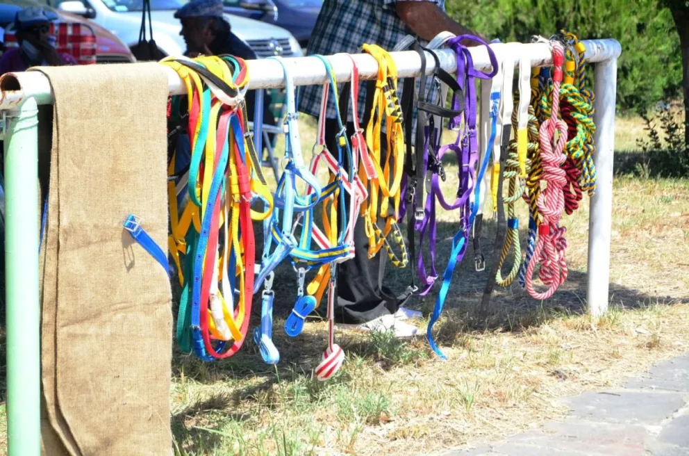 Domingo de carreras en el hipódromo de Viedma