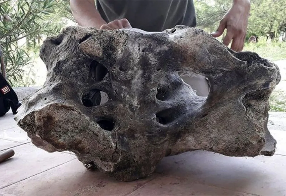 Hallan fósiles de un perezoso gigante en Santiago del Estero