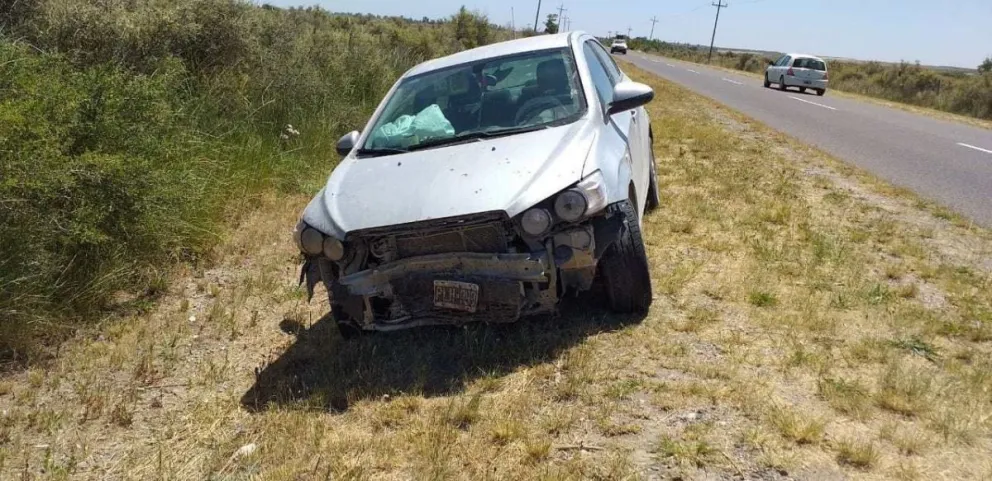 Chocó contra un jabalí, en la ruta que une Viedma con El Cóndor