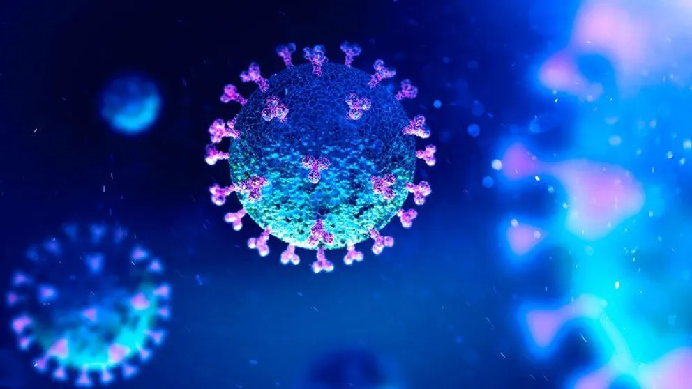 La inmunidad contra el coronavirus duraría al menos 8 meses