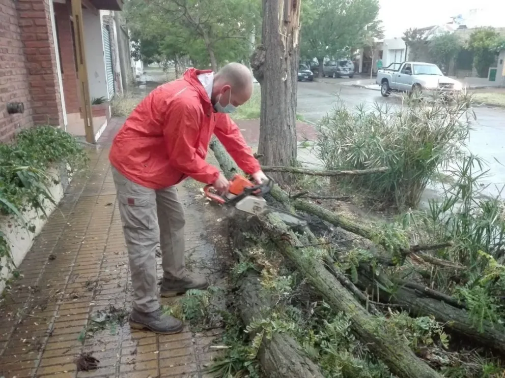 Desde la Municipalidad destacaron las acciones post temporal