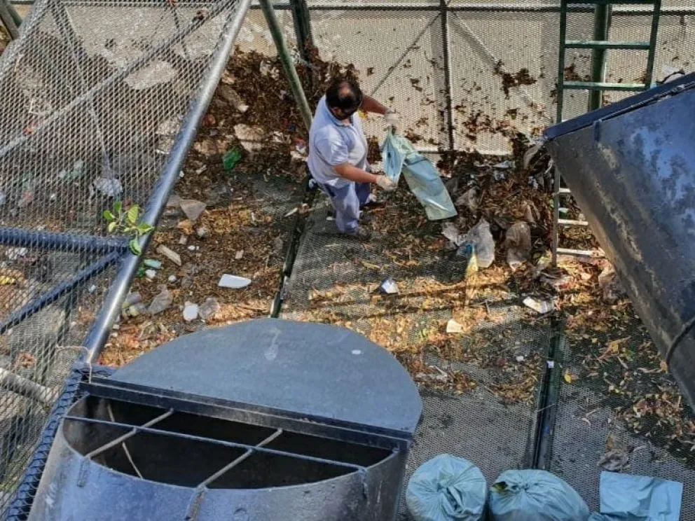 El canasto contenedor de residuos funcionó bien durante la primera gran lluvia