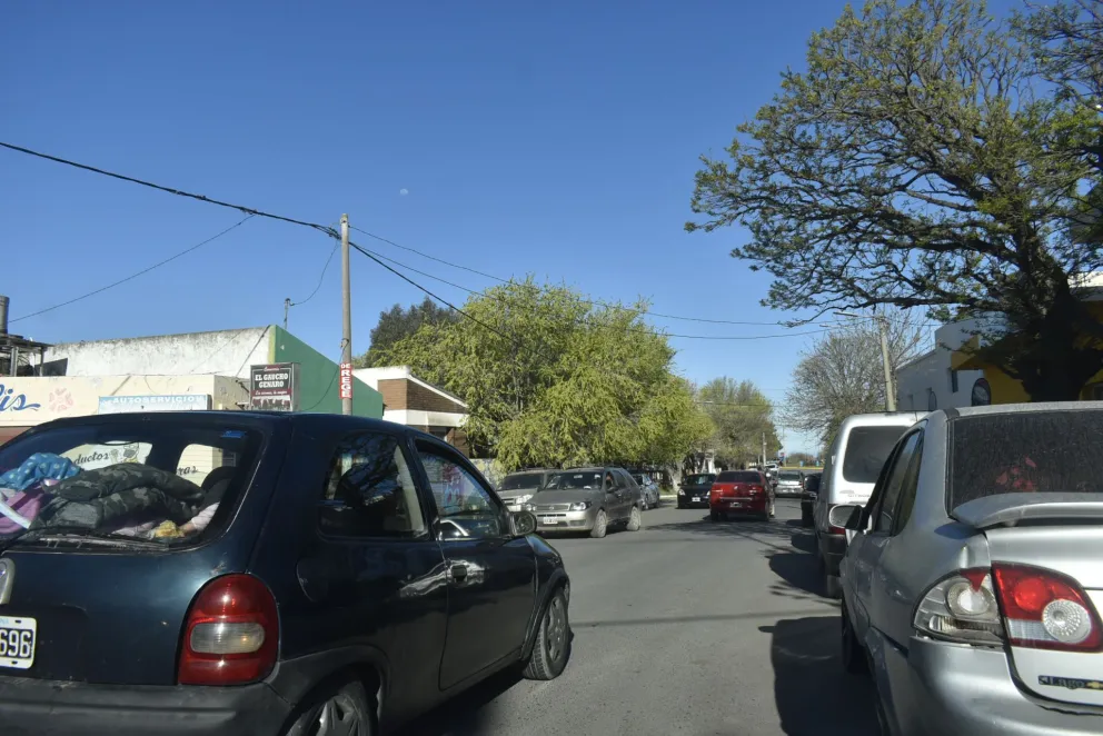 Muchos mosquitos en El Cóndor  en los últimos días