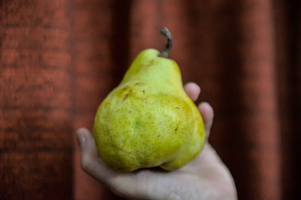 El Gobierno eliminó retenciones a las exportaciones de peras y manzanas