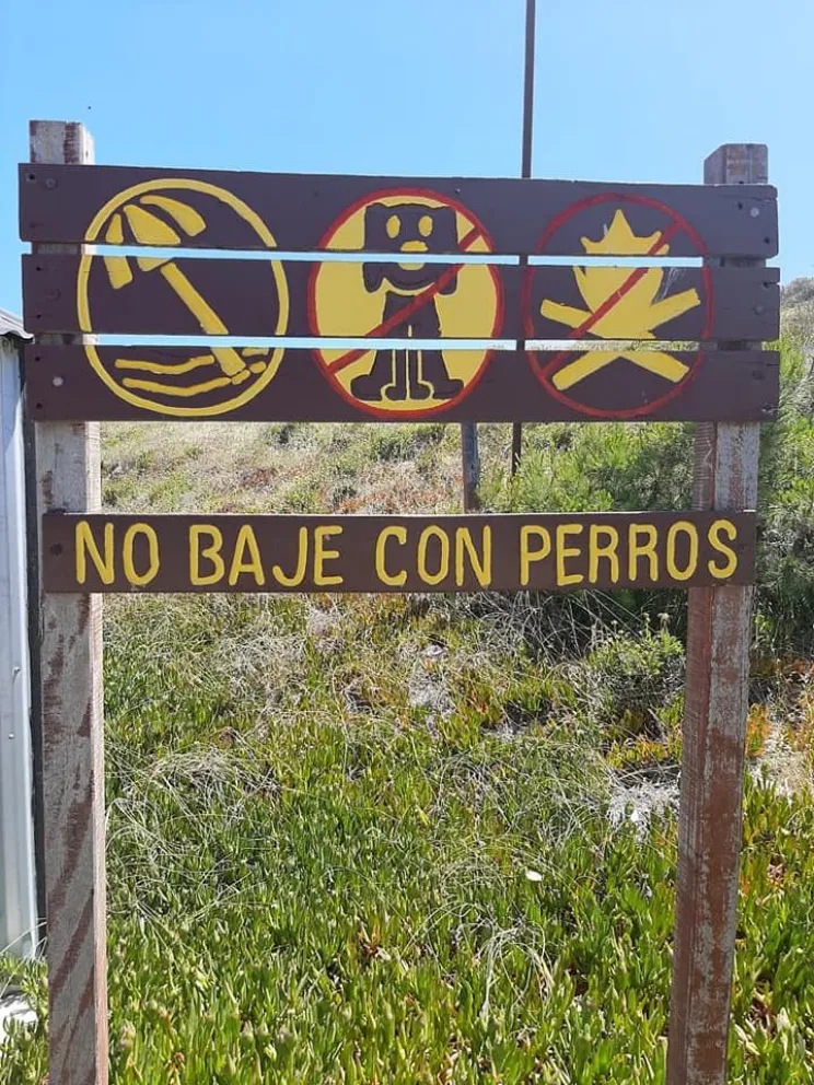 ¿Por qué está prohibido el ingreso con mascotas a La Lobería?