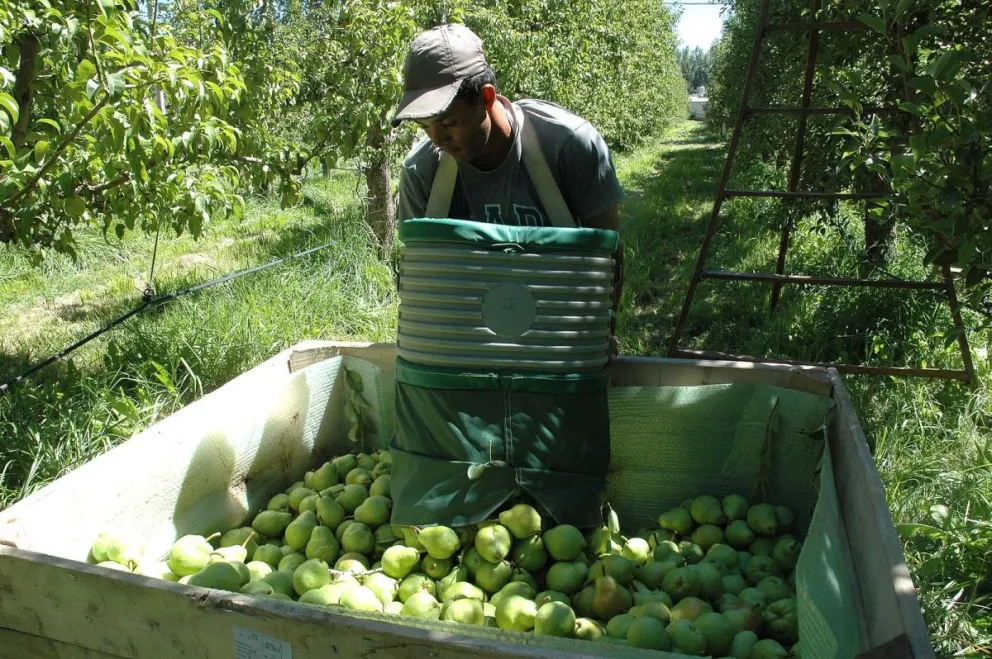 Weretilneck solicitó a Nación que también elimine las retenciones al jugo de pera y a la lana