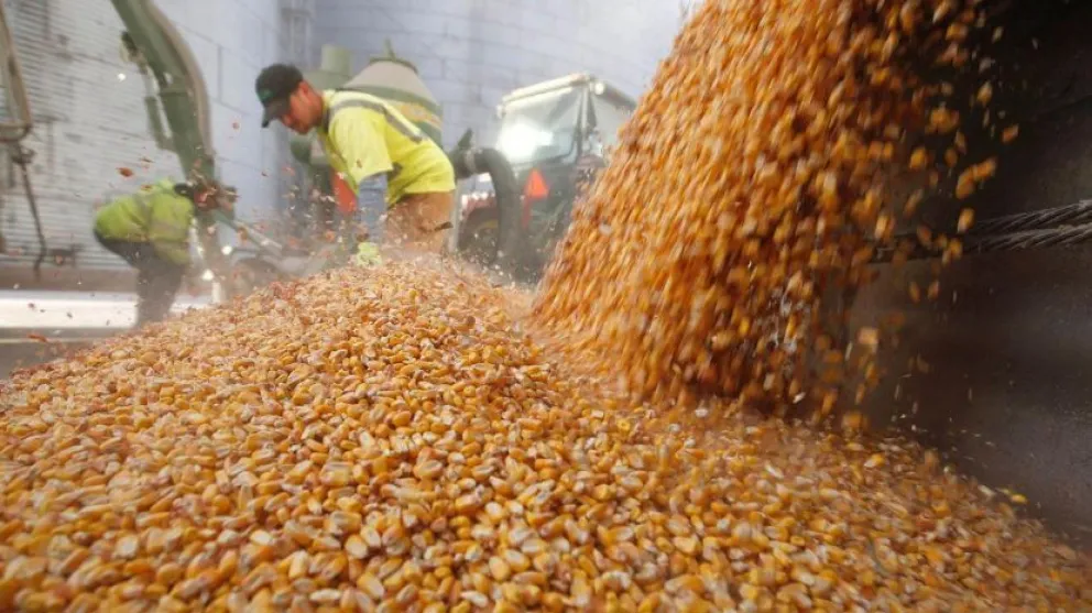El campo va al paro por tres días contra el cierre de las exportaciones de maíz
