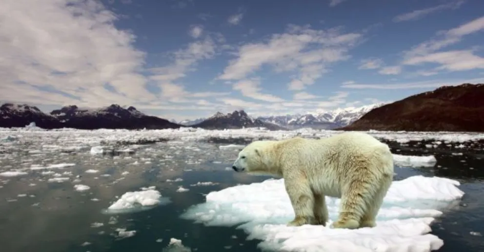 ¿Por qué el 2021 puede ser un año crucial para el Cambio Climático?