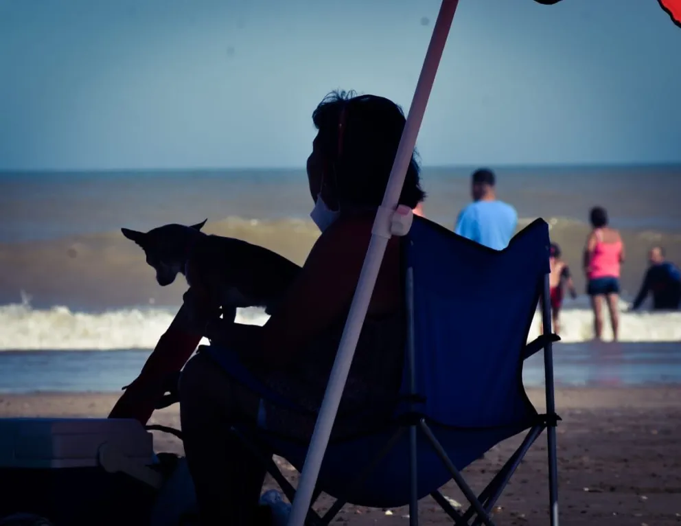 Analizan renovar la ordenanza de perros en las playas y crear un espacio para mascoteros entre las bajadas Cailotto y Erica