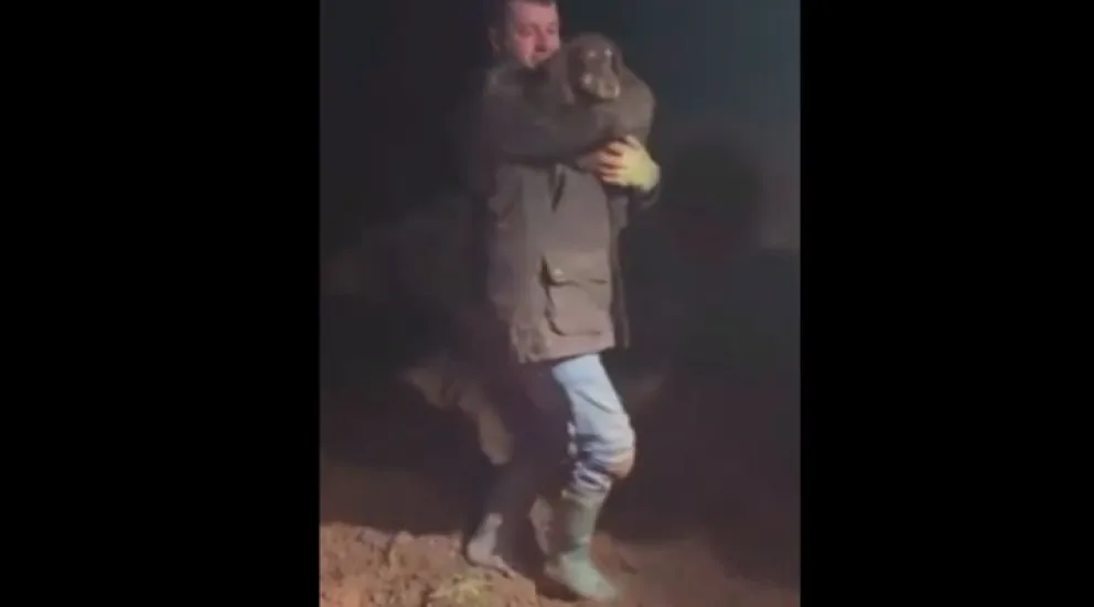 Video: el emotivo encuentro entre un perro sordo y su dueño tras ser rescatado