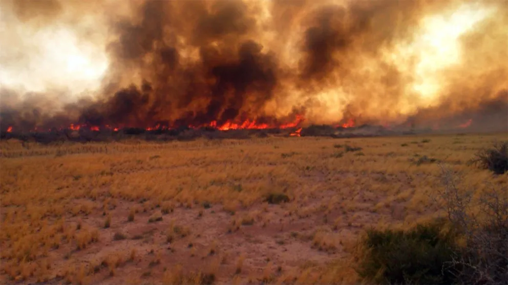 Incendios consumieron más de 10 mil hectáreas en el este de Río Negro