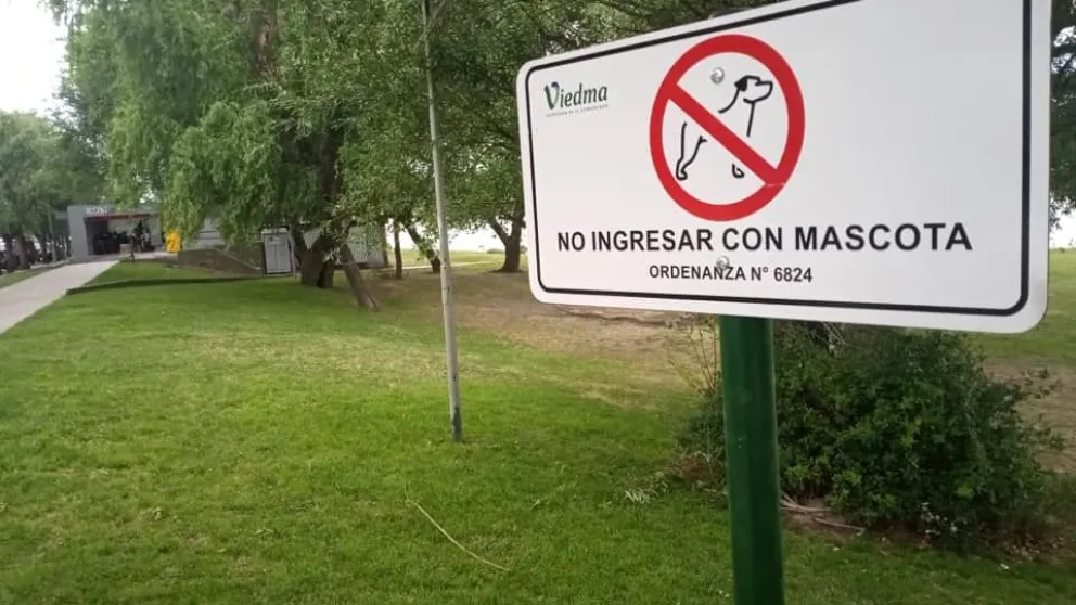 La comunidad mascotera se resiste a la prohibición de llevar perros a la costa o a la playa