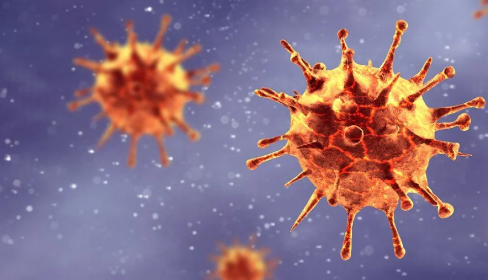 Coronavirus: confirman el primer caso de la cepa británica en la Argentina