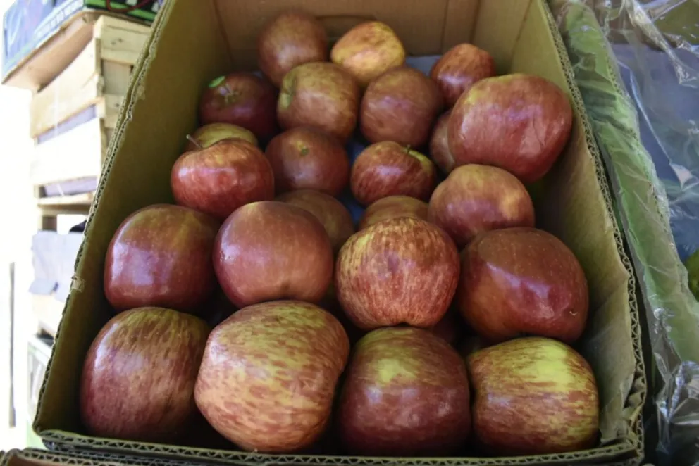 Aumentazo: con $200 no se puede comprar ni un kilo de manzanas