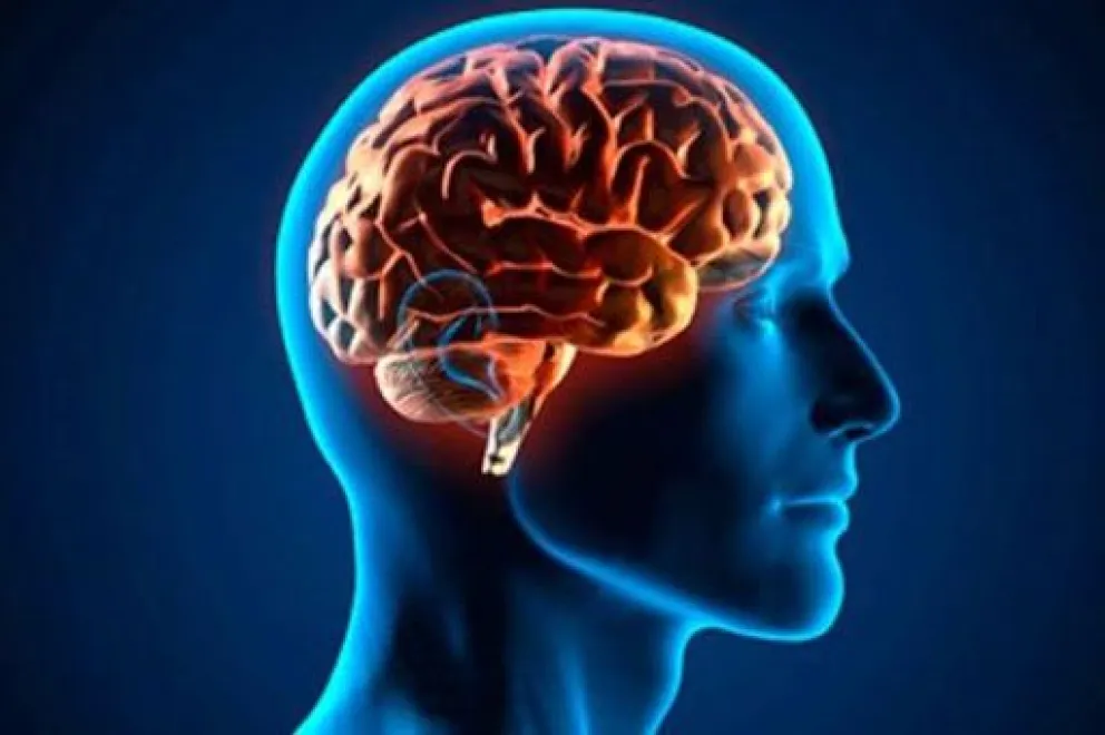 ¿Cómo funciona nuestro cerebro en situaciones estresantes?