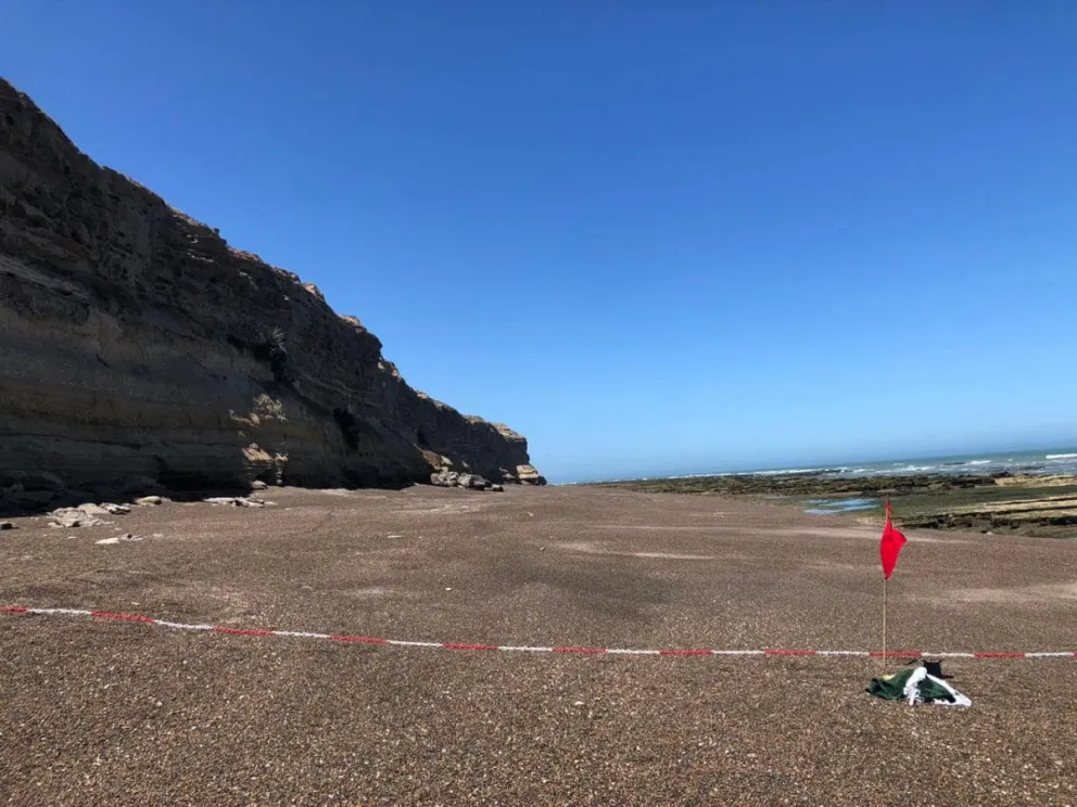 Por el nacimiento de dos crías de lobos marinos, delimitan un sector de La Lobería