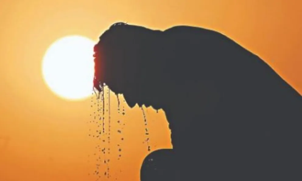 Se espera un máxima de 37º y sol pleno para este domingo