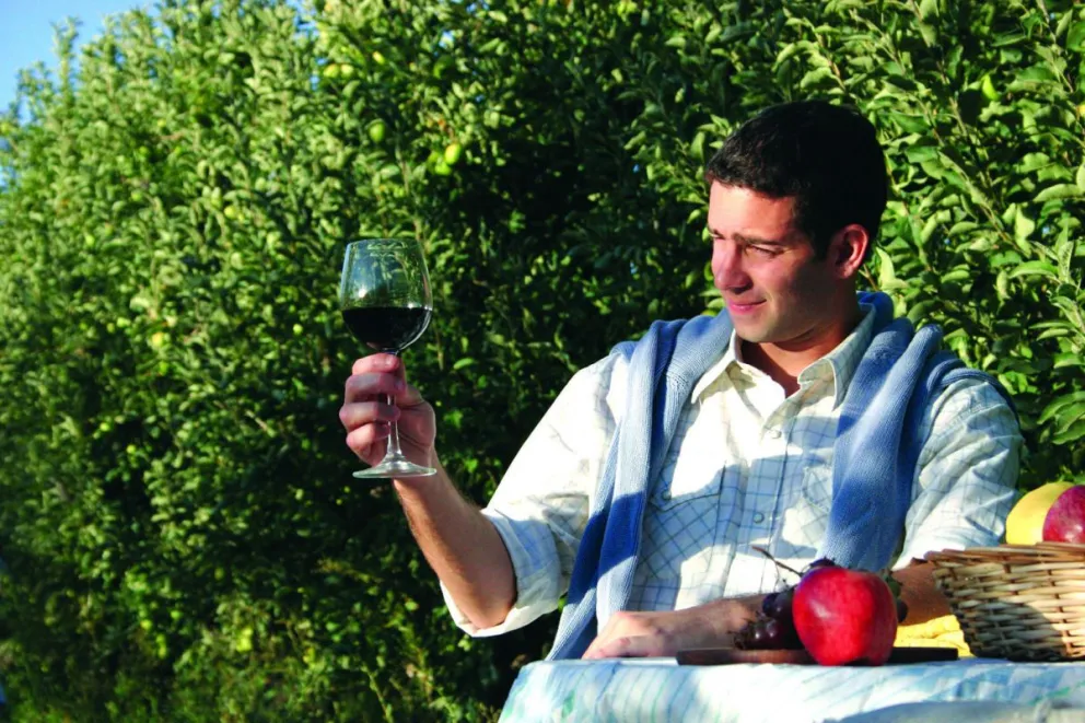 Por qué beber vino moderadamente tiene efecto antioxidante