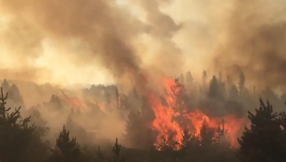 Incendio forestal sin control en la cordillera rionegrina