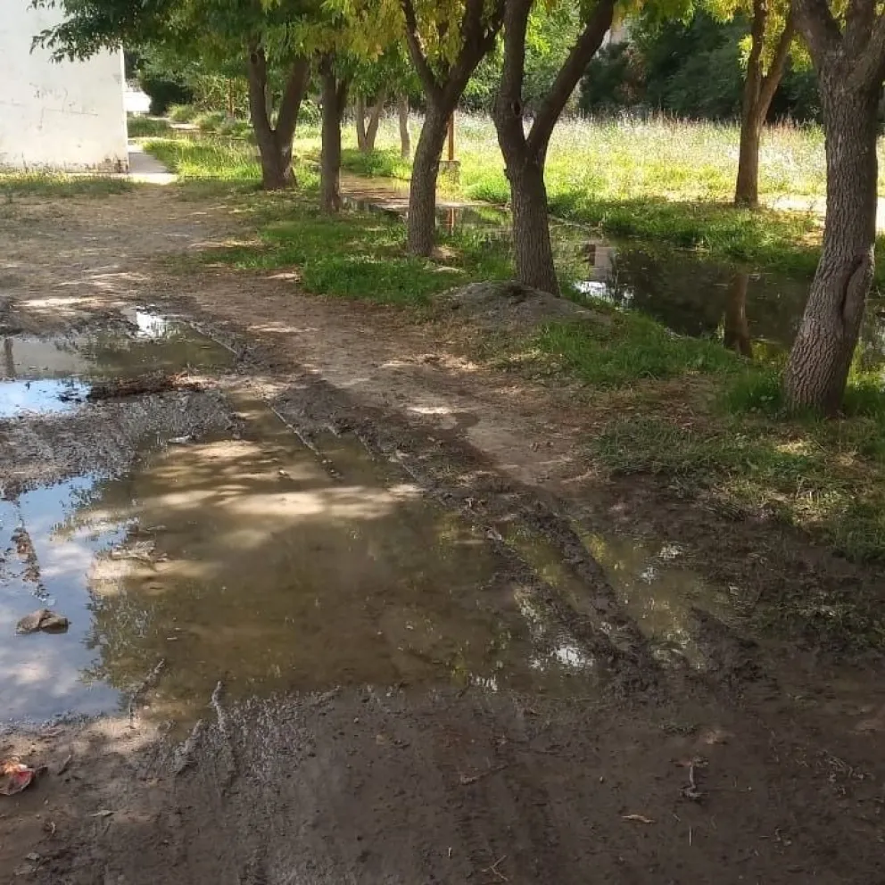 El drama de vivir sin agua desde Navidad en el barrio Guido