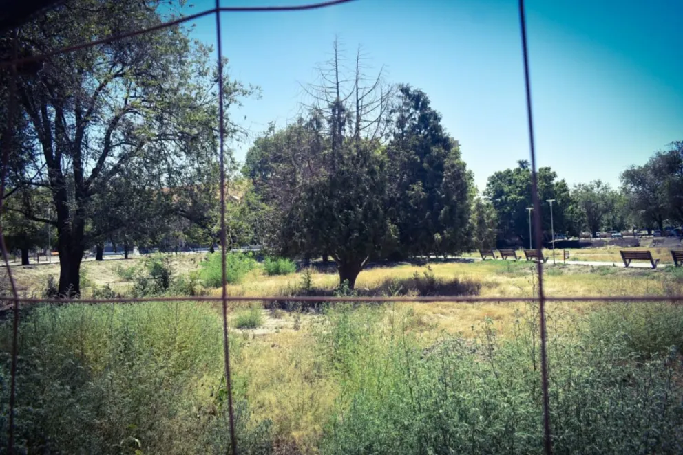 Continúan las obras de puesta en valor de los jardines del Ministerio