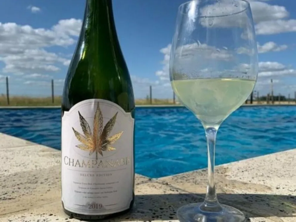 Clausuraron la bodega que ofrecía "Champanabis", un espumante con marihuana