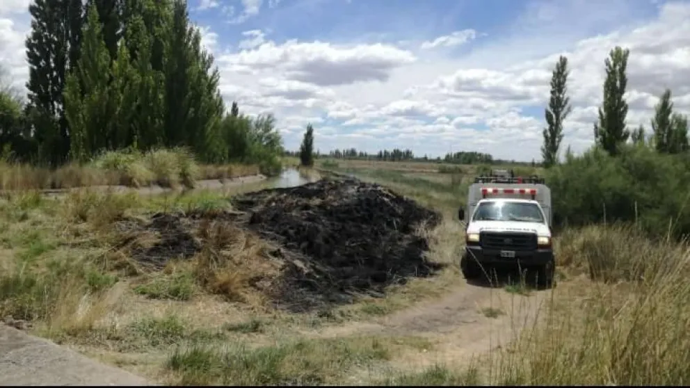 Lograron controlar un incendio forestal a pocos kilómetros de Viedma