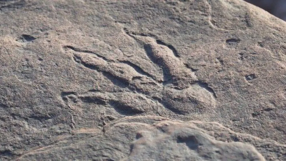 Una nena de descubrió una huella de dinosaurio de 220 millones de años