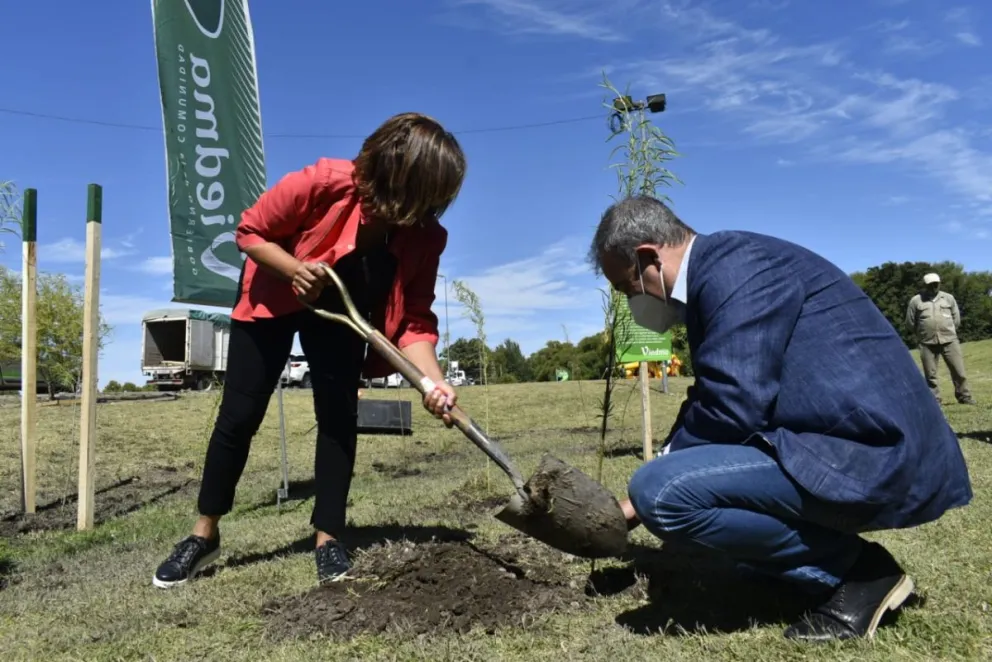 Carreras y Pesatti plantaron los primeros sauces criollos en el Parque Ferreira