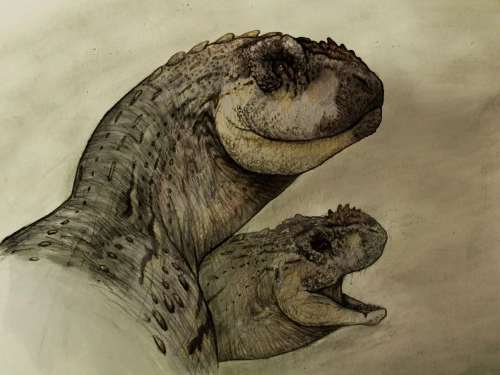 Descubren una nueva especie de dinosaurio carnívoro en Río Negro