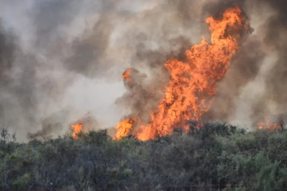 Incendio y preocupación camino a El Cóndor