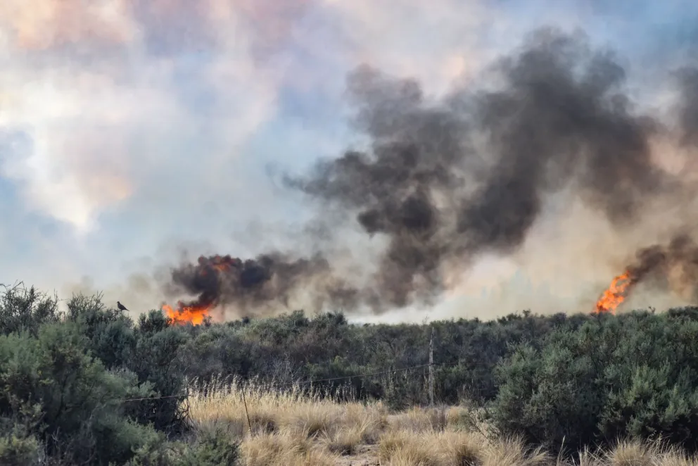 Aseguran que está controlado el incendio de campos cercano al parque industrial