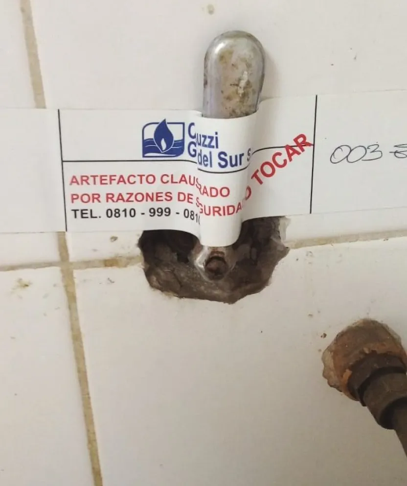 Denuncian que hay murciélagos y roedores en las escuelas