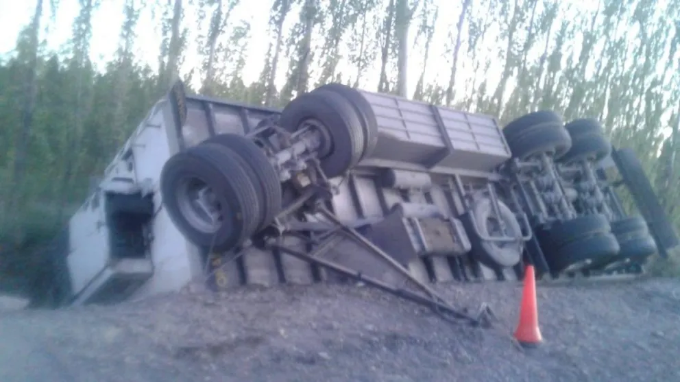 Un camión de Fridevi terminó adentro de un desagüe en Mainqué