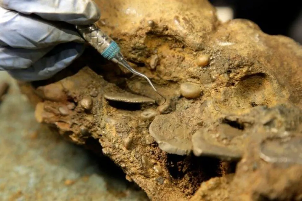 Increíble: descubren esqueletos de piratas en un barco que naufragó hace 300 años