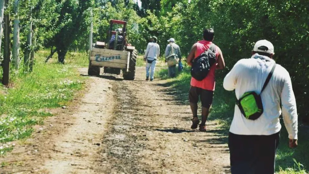 Los obreros rurales volvieron a su provincia con la frente marchita
