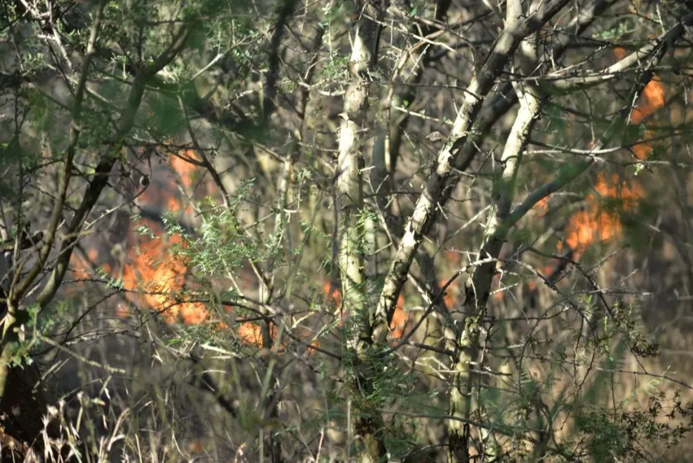 Incendio de pastizales en la zona de El Malecon en Carmen de Patagones