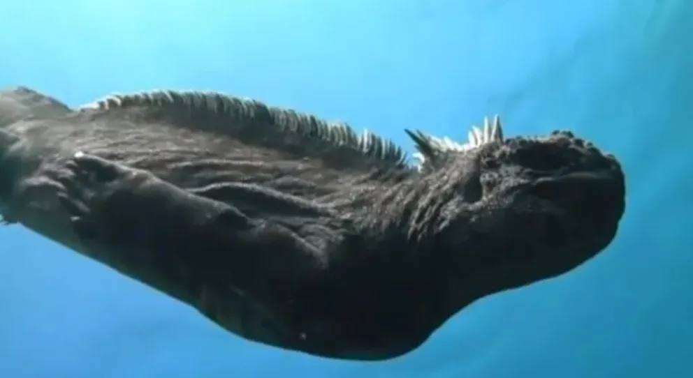 Las imágenes del "mini-Godzilla" que hallaron nadando en las Islas Galápagos