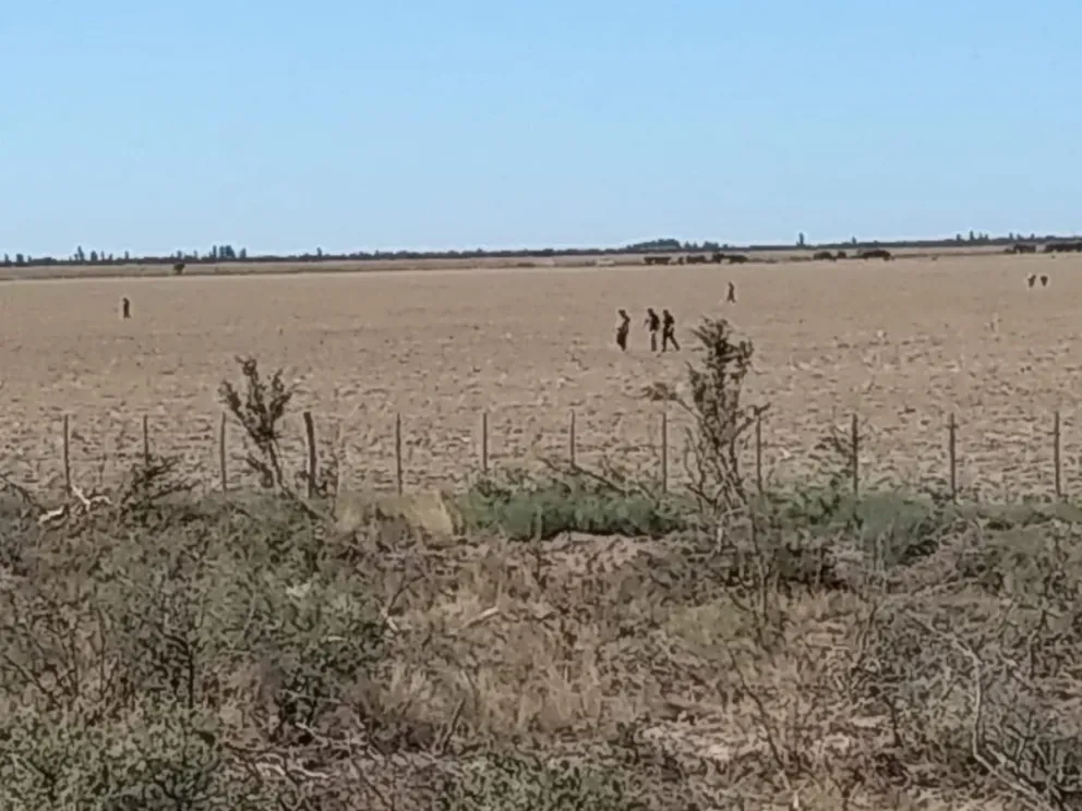 Búsqueda Ferrandi, harán rastrillajes a caballo y con la división canes