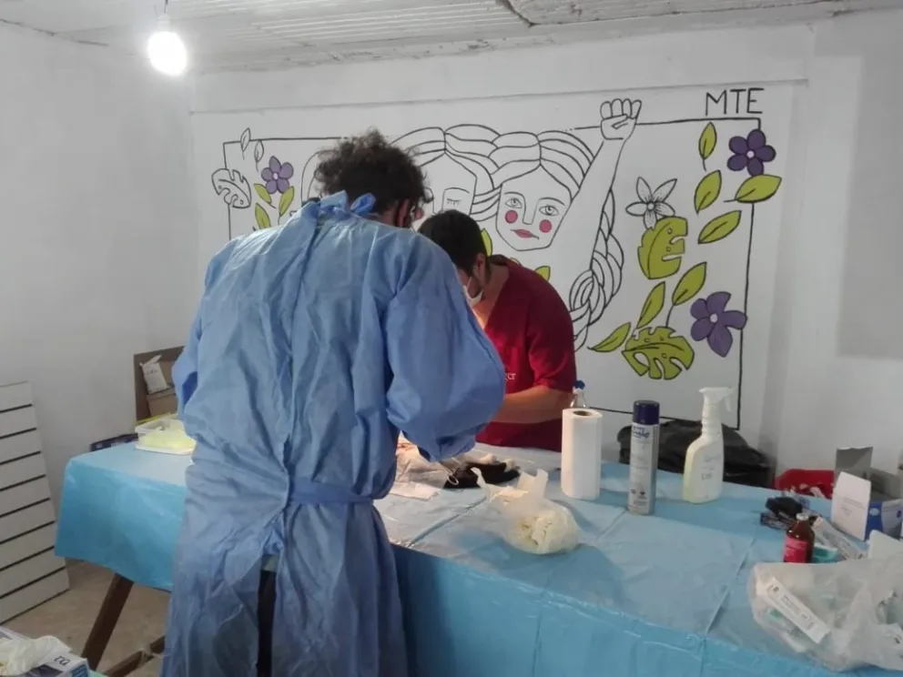 Comenzaron las jornadas de castración masiva en barrios de la capital provincial