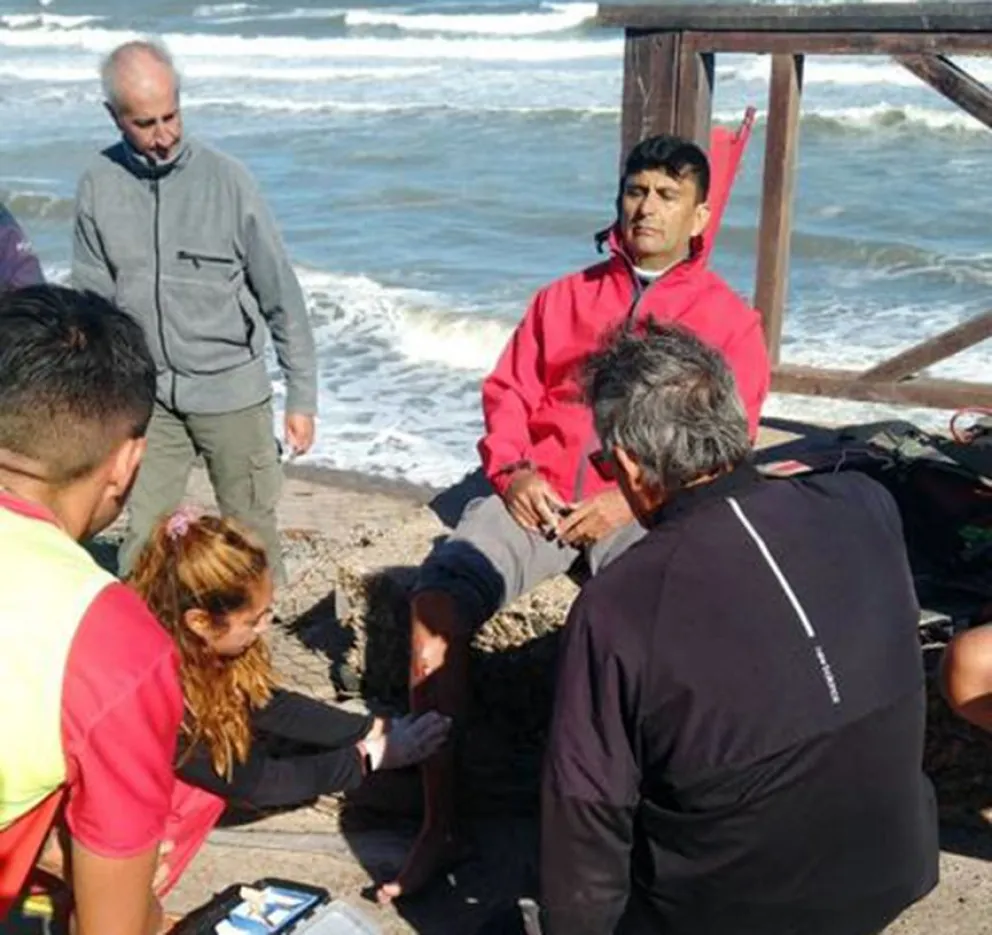 Cayó con su parapente y milagrosamente salió ileso