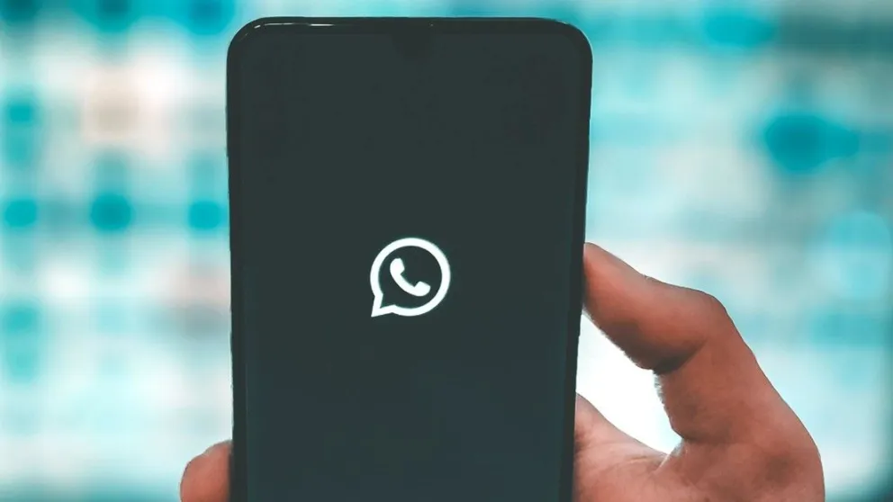 ¿Qué pasa si te negás a aceptar los nuevos términos de WhatsApp?