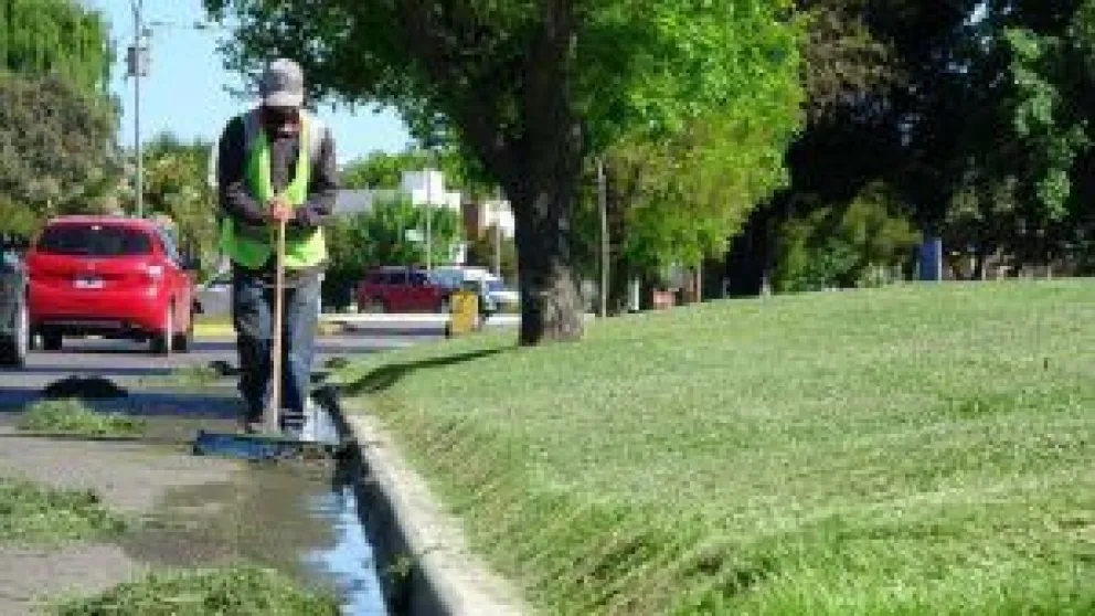 Escoba nueva barre mejor: hay nuevas ofertas para limpiar las calles