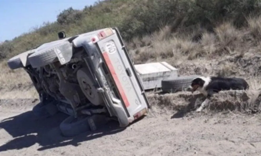 El celular, un vuelco y el perro: los errores que delataron al asesino de Ferrandi