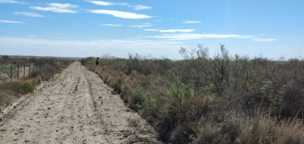 ¿Ferrandi conocía a Carrizo?